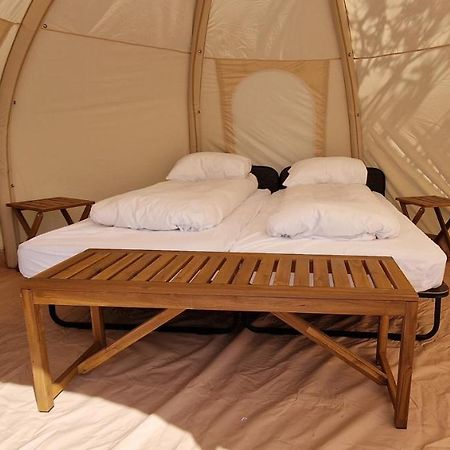 Haukafell Camping - Tents For Rents Höfn Exteriör bild