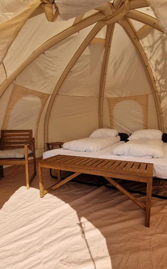 Haukafell Camping - Tents For Rents Höfn Exteriör bild