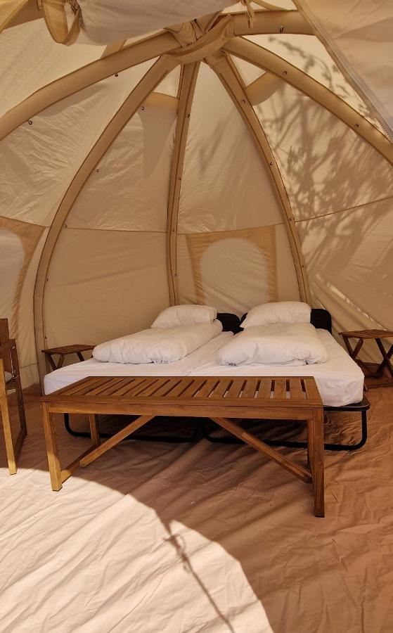 Haukafell Camping - Tents For Rents Höfn Exteriör bild