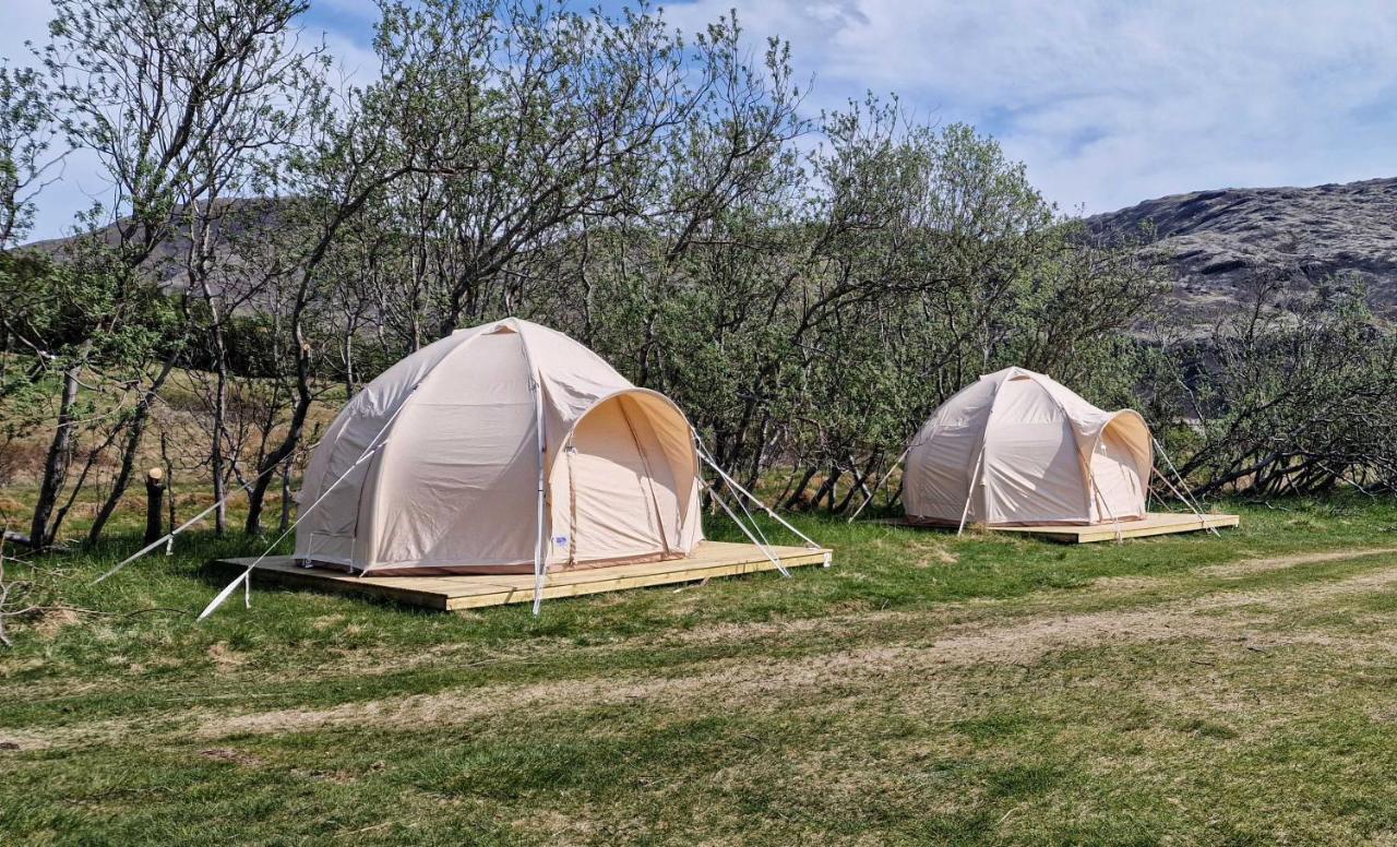 Haukafell Camping - Tents For Rents Höfn Exteriör bild
